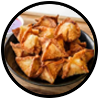 Chicken Fried Wonton